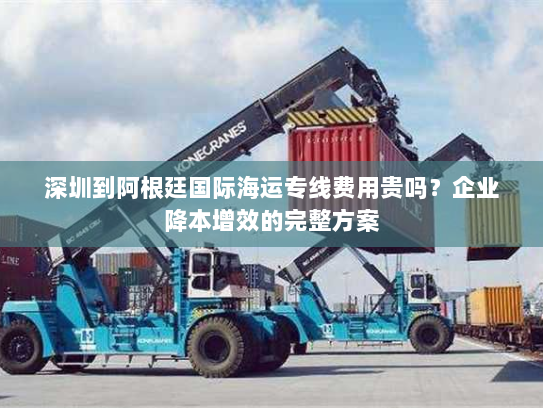深圳到阿根廷国际海运专线费用贵吗？企业降本增效的完整方案