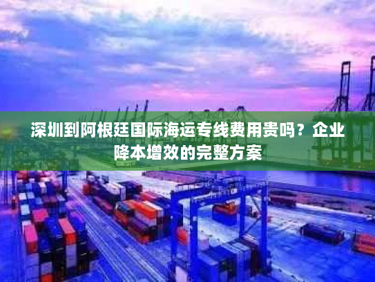 深圳到阿根廷国际海运专线费用贵吗？企业降本增效的完整方案