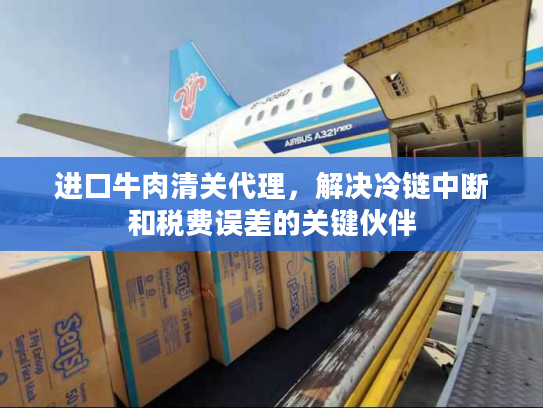 进口牛肉清关代理，解决冷链中断和税费误差的关键伙伴