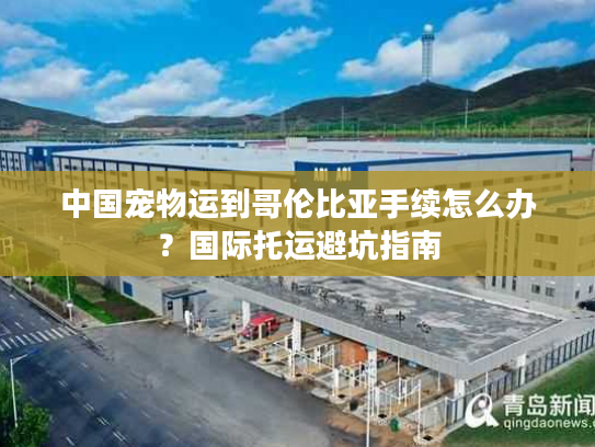 中国宠物运到哥伦比亚手续怎么办？国际托运避坑指南