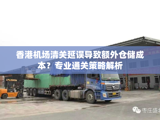 香港机场清关延误导致额外仓储成本？专业通关策略解析
