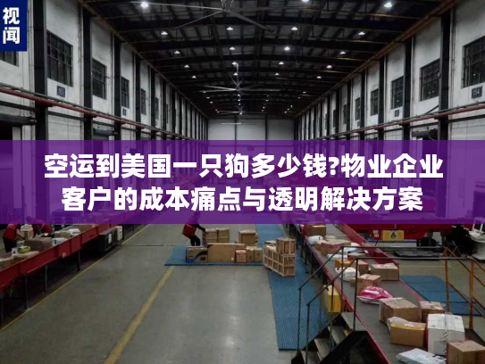 空运到美国一只狗多少钱?物业企业客户的成本痛点与透明解决方案
