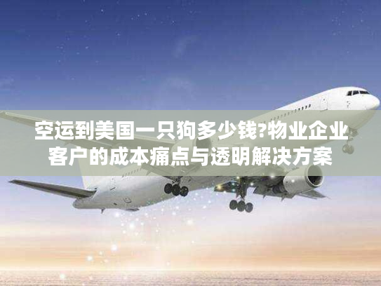 空运到美国一只狗多少钱?物业企业客户的成本痛点与透明解决方案