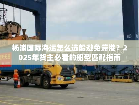 杨浦国际海运怎么选船避免滞港？2025年货主必看的船型匹配指南