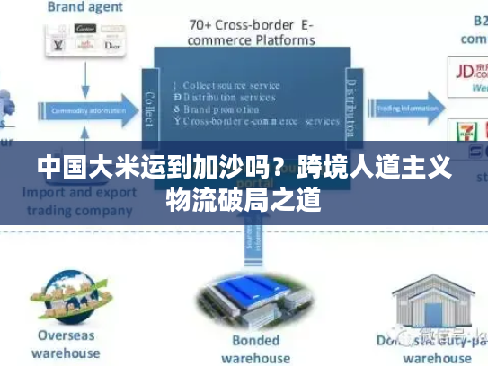 中国大米运到加沙吗?跨境人道主义物流破局之道 中国大米运到加沙吗?跨境人道主义物流破局之道