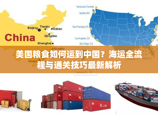 美国粮食如何运到中国？海运全流程与通关技巧最新解析