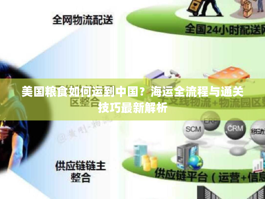 美国粮食如何运到中国？海运全流程与通关技巧最新解析