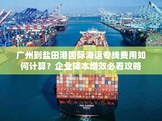 广州到盐田港国际海运专线费用如何计算？企业降本增效必看攻略