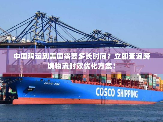 中国鸡运到美国需要多长时间？立即查询跨境物流时效优化方案！