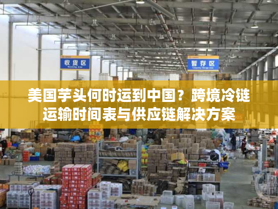 美国芋头何时运到中国？跨境冷链运输时间表与供应链解决方案