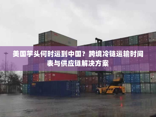 美国芋头何时运到中国？跨境冷链运输时间表与供应链解决方案