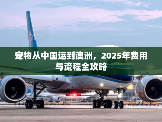 宠物从中国运到澳洲，2025年费用与流程全攻略
