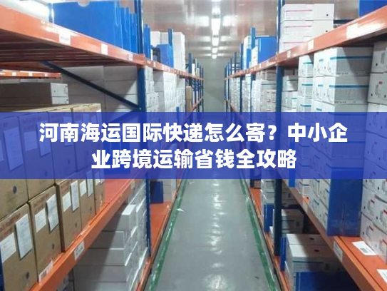 河南海运国际快递怎么寄？中小企业跨境运输省钱全攻略