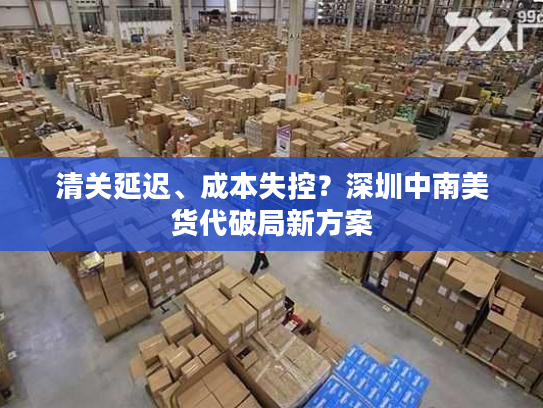 清关延迟、成本失控？深圳中南美货代破局新方案