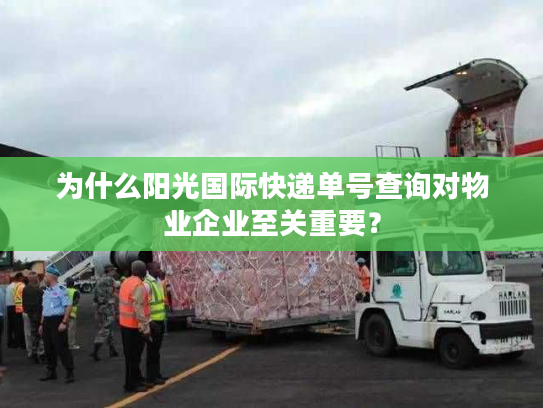 为什么阳光国际快递单号查询对物业企业至关重要？