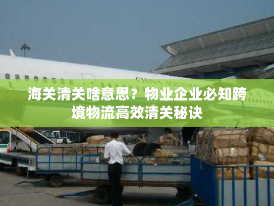 海关清关啥意思？物业企业必知跨境物流高效清关秘诀