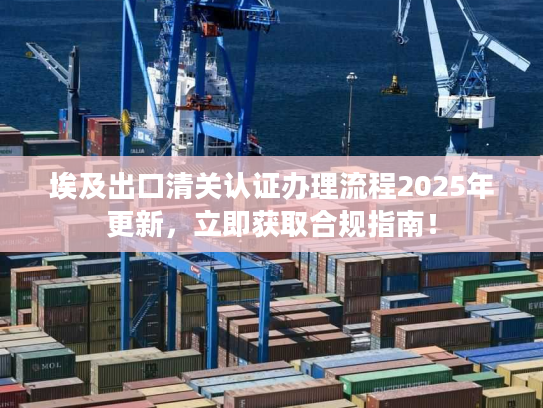 埃及出口清关认证办理流程2025年更新，立即获取合规指南！