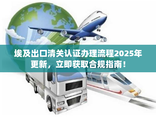埃及出口清关认证办理流程2025年更新，立即获取合规指南！