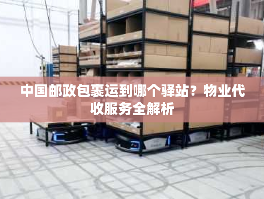 中国邮政包裹运到哪个驿站？物业代收服务全解析