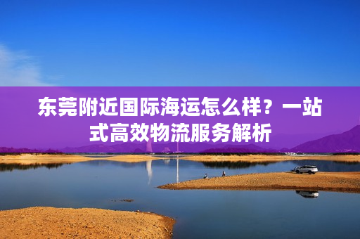 东莞附近国际海运怎么样？一站式高效物流服务解析