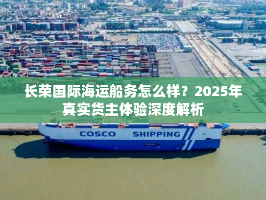 长荣国际海运船务怎么样？2025年真实货主体验深度解析