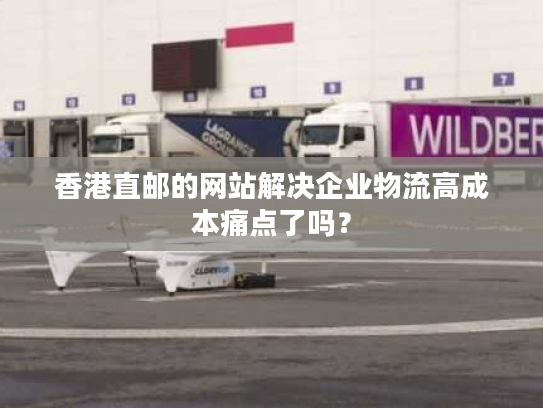 香港直邮的网站解决企业物流高成本痛点了吗? 香港直邮的网站解决企业物流高成本痛点了吗?
