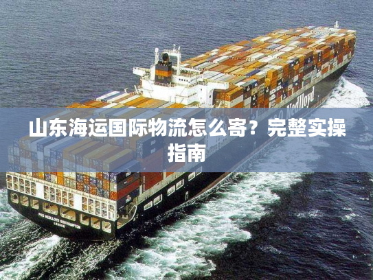 山东海运国际物流怎么寄？完整实操指南