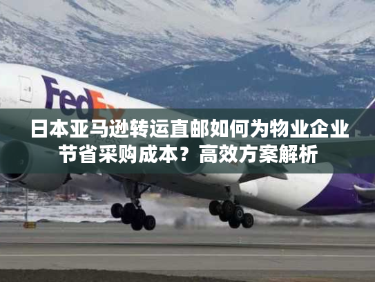 日本亚马逊转运直邮如何为物业企业节省采购成本?高效方案解析 日本亚马逊转运直邮如何为物业企业节省采购成本?高效方案解析