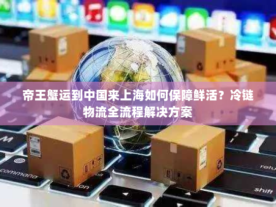 帝王蟹运到中国来上海如何保障鲜活？冷链物流全流程解决方案
