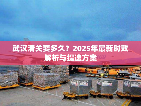 武汉清关要多久？2025年最新时效解析与提速方案