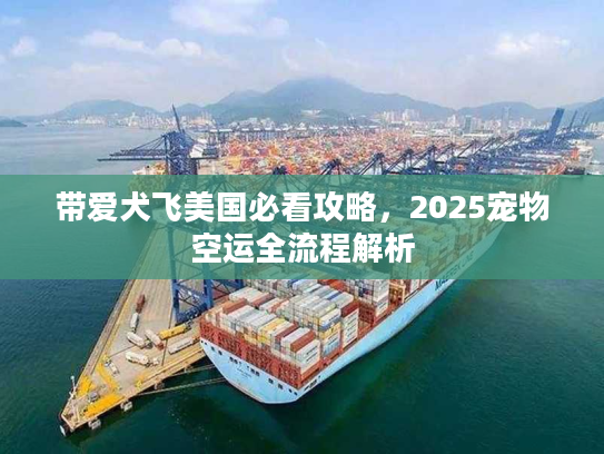 带爱犬飞美国必看攻略，2025宠物空运全流程解析