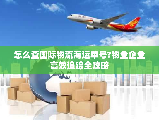 怎么查国际物流海运单号?物业企业高效追踪全攻略