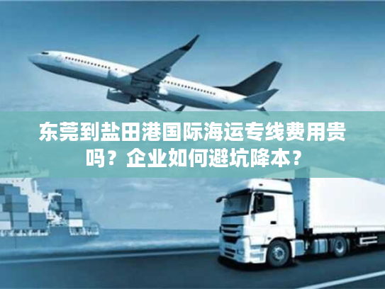 东莞到盐田港国际海运专线费用贵吗？企业如何避坑降本？