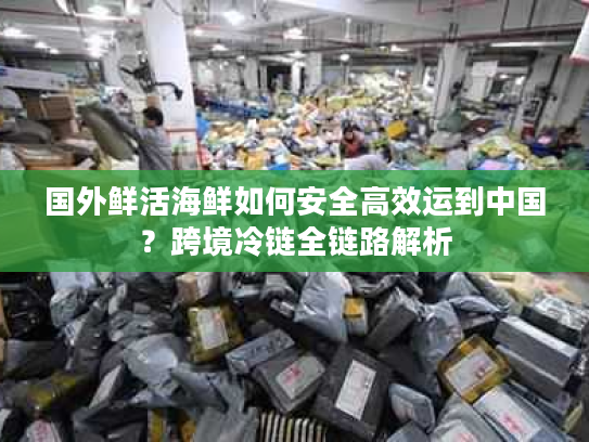 国外鲜活海鲜如何安全高效运到中国?跨境冷链全链路解析 国外鲜活海鲜如何安全高效运到中国?跨境冷链全链路解析