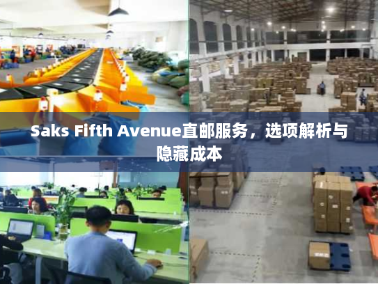 Saks Fifth Avenue直邮服务,选项解析与隐藏成本 Saks Fifth Avenue直邮服务,选项解析与隐藏成本