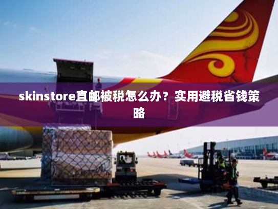 skinstore直邮被税怎么办?实用避税省钱策略 skinstore直邮被税怎么办?实用避税省钱策略