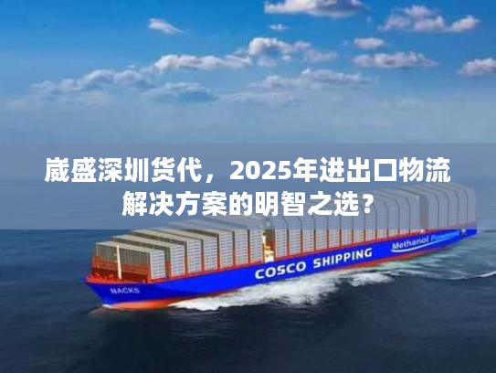 崴盛深圳货代，2025年进出口物流解决方案的明智之选？