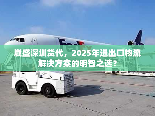 崴盛深圳货代，2025年进出口物流解决方案的明智之选？