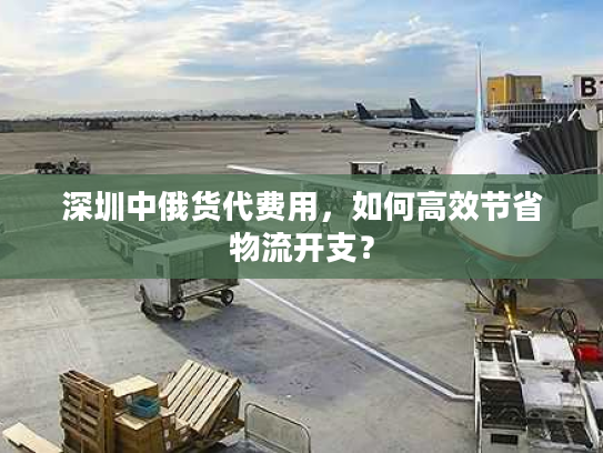 深圳中俄货代费用，如何高效节省物流开支？