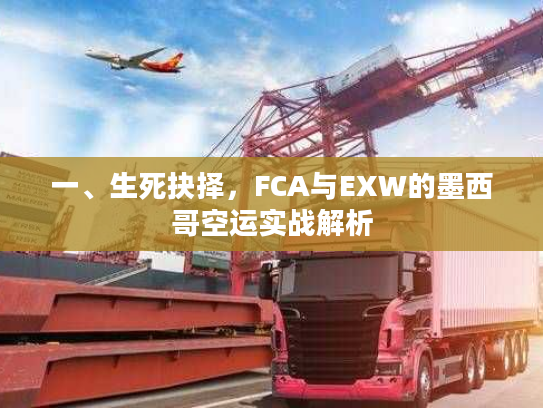 一、生死抉择，FCA与EXW的墨西哥空运实战解析