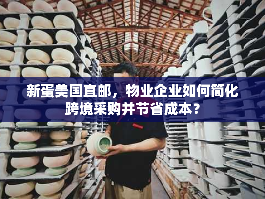 新蛋美国直邮，物业企业如何简化跨境采购并节省成本？