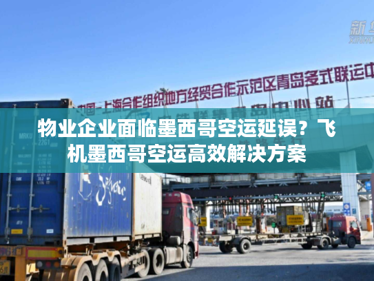 物业企业面临墨西哥空运延误?飞机墨西哥空运高效解决方案 物业企业面临墨西哥空运延误?飞机墨西哥空运高效解决方案