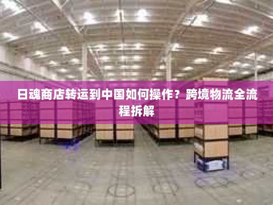 日魂商店转运到中国如何操作？跨境物流全流程拆解