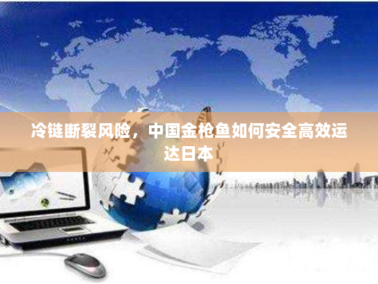 冷链断裂风险，中国金枪鱼如何安全高效运达日本