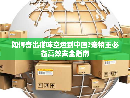 如何寄出猫咪空运到中国?宠物主必备高效安全指南 如何寄出猫咪空运到中国?宠物主必备高效安全指南