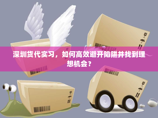 深圳货代实习，如何高效避开陷阱并找到理想机会？