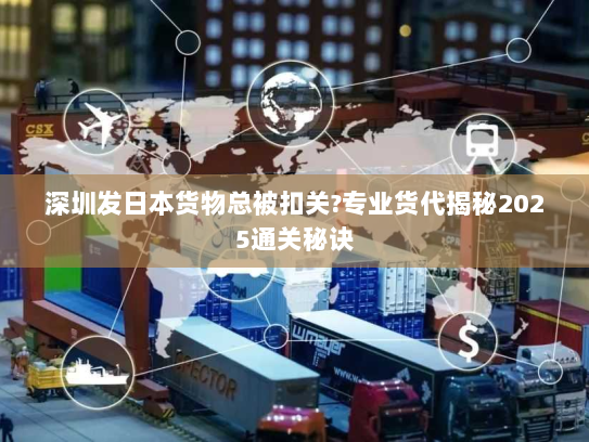 深圳发日本货物总被扣关?专业货代揭秘2025通关秘诀