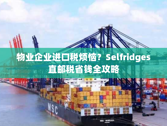 物业企业进口税烦恼？Selfridges直邮税省钱全攻略