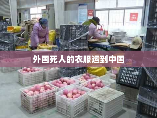 外国死人的衣服运到中国