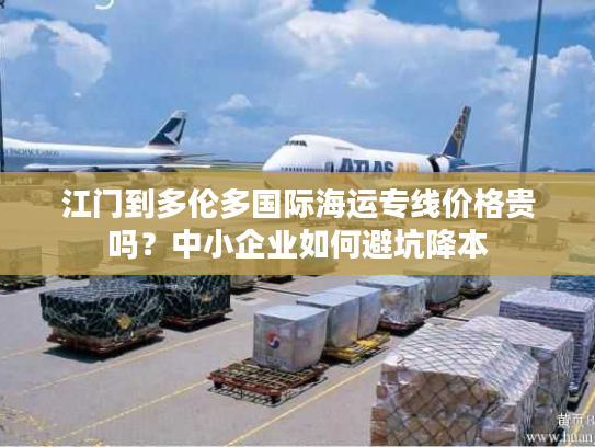 江门到多伦多国际海运专线价格贵吗？中小企业如何避坑降本